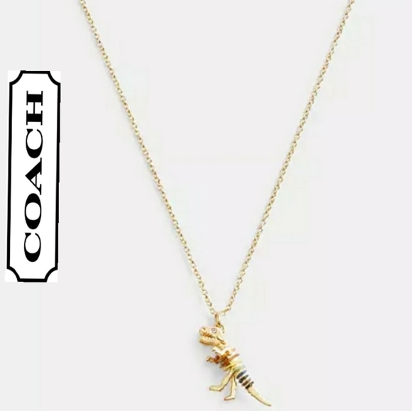 COACH REXY NECKLACE - Picture 1 of 12